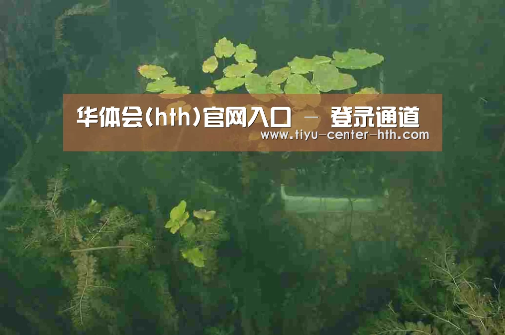 案例展示三(图1)