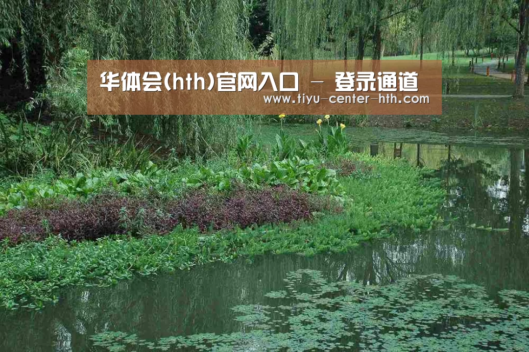 案例展示一(图1)