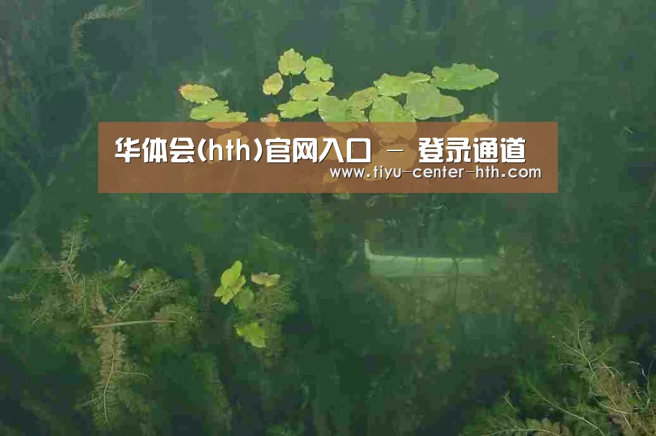 案例展示三