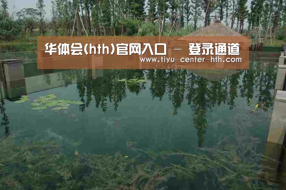 案例展示二