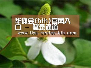 产品名称三