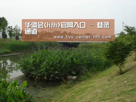 案例展示四