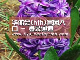 产品名称八