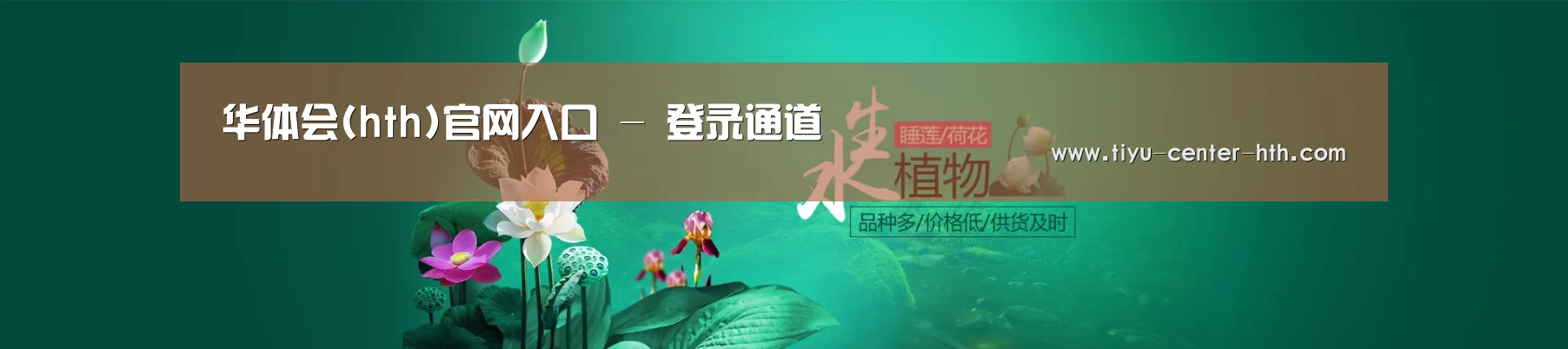 鲜花水草花卉网站模板